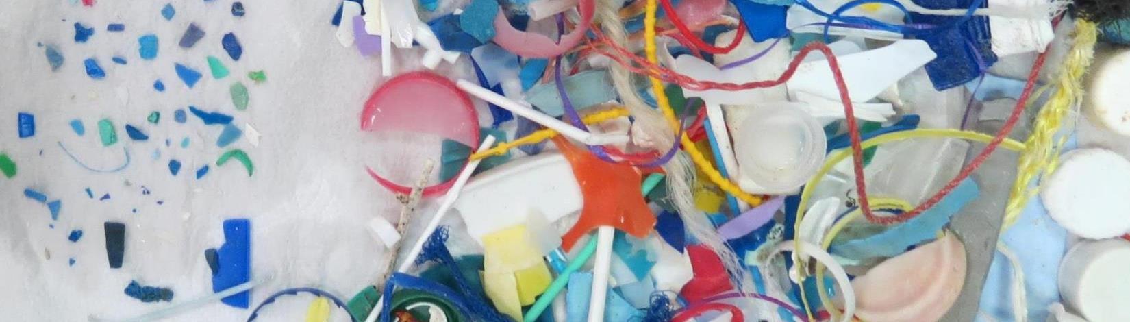 Pieces of plastic in webpage header 1650x470