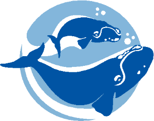 Right whale curriculum logo