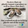 Several oyster shells open showing the cooked meat with the wording, 